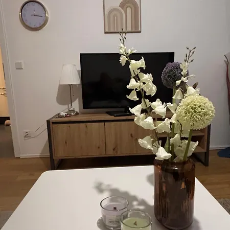 Baierrefreies Stielzchen Steinbeck *