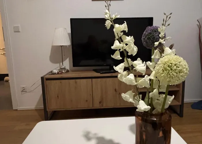 Baierrefreies Stielzchen Steinbeck *